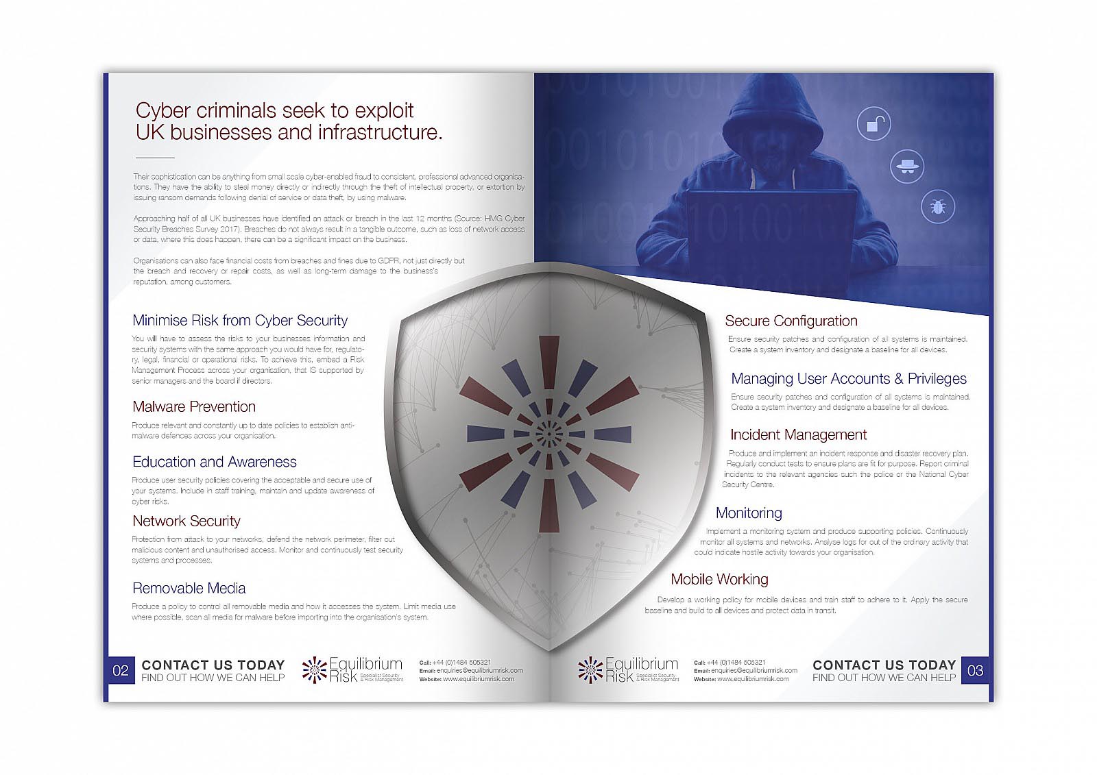 Equilibrium Risk - Cyber Security Flyer