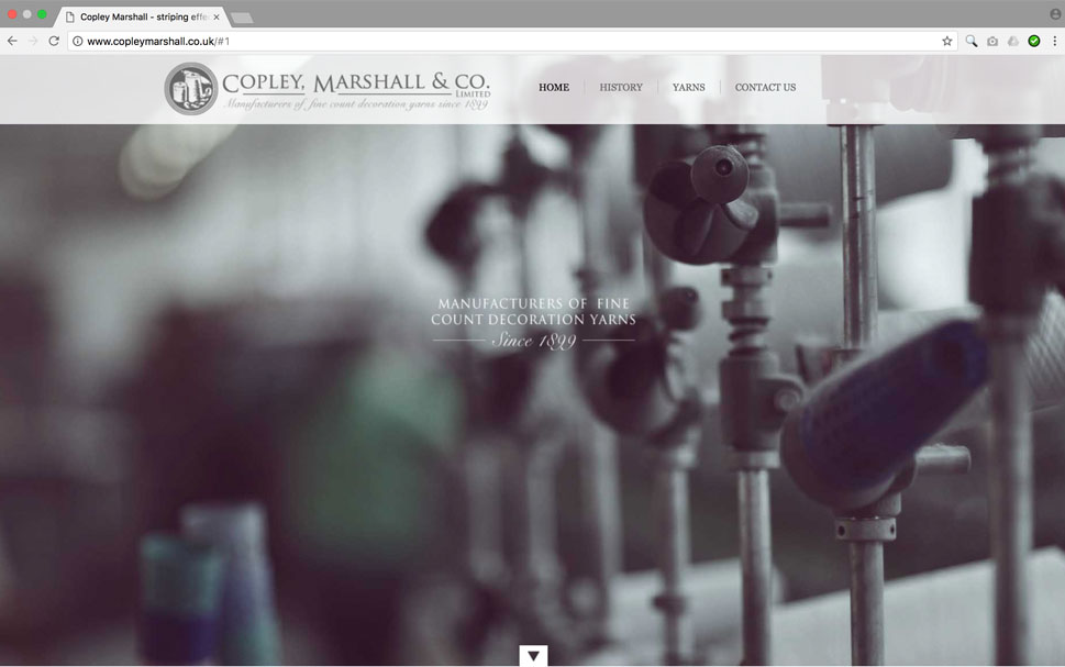 Copley Marshall Website